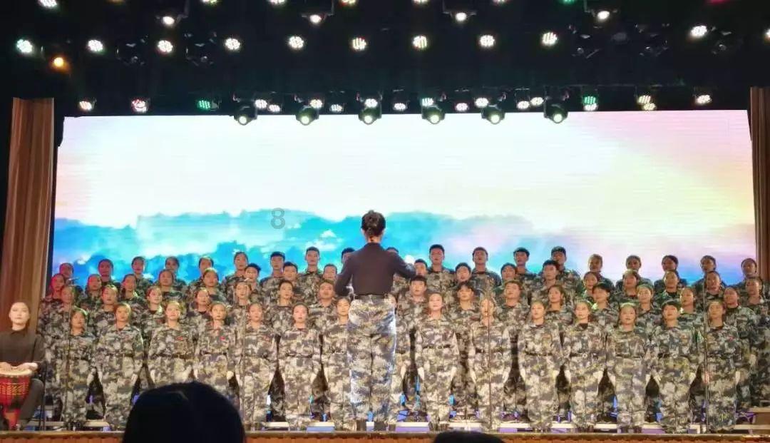 幼崽救援行动选关版