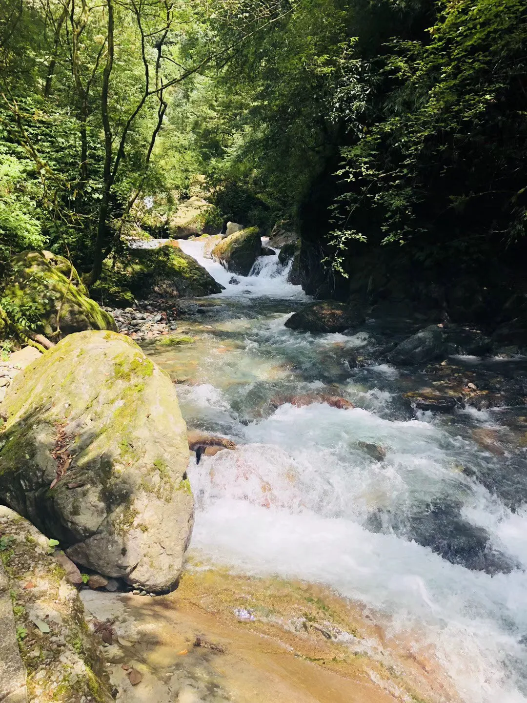 孤岛惊魂5
